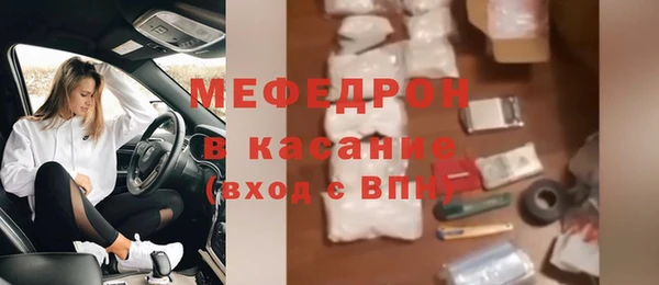 сатива Дмитровск