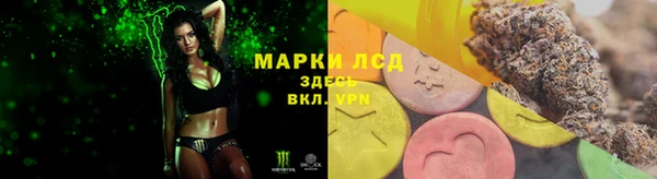 прущая мука Дмитров