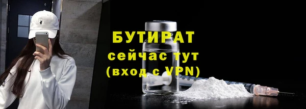 сатива Дмитровск