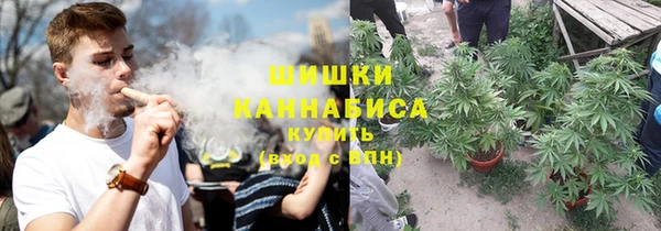 ешки Дмитриев