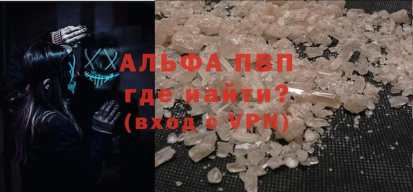 сатива Дмитровск