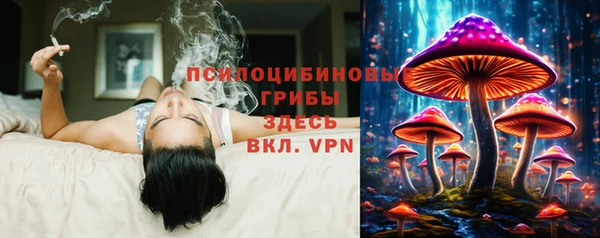 ешки Дмитриев