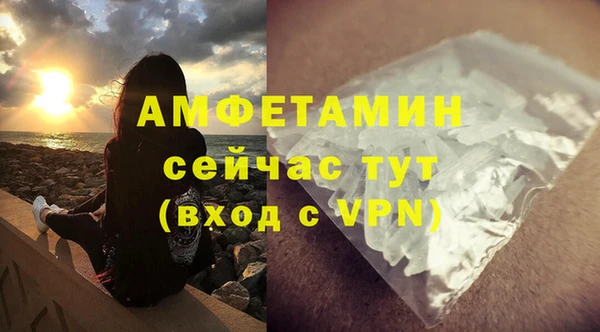 сатива Дмитровск