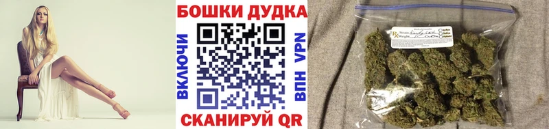Бошки Шишки план  Купить закладки  Новопавловск 